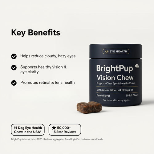BrightPup Dog Vision Chews | No Chemicals. No Weird Taste. All Natural Supplement Recommended By Vets
