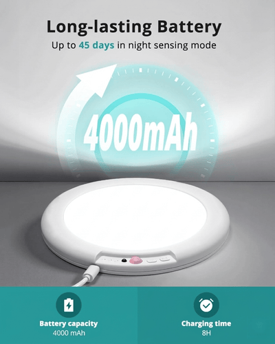 Motion Sensor Ceiling Light