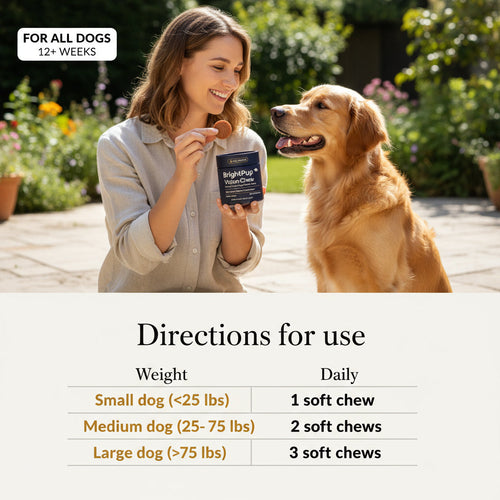 BrightPup Dog Vision Chews | No Chemicals. No Weird Taste. All Natural Supplement Recommended By Vets