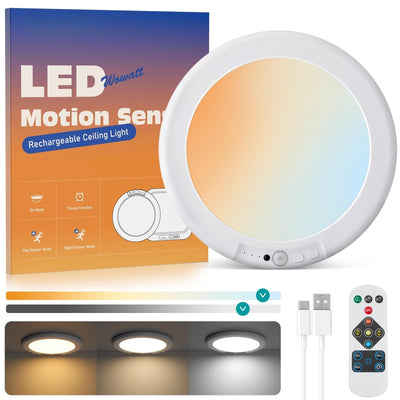 Motion Sensor Ceiling Light
