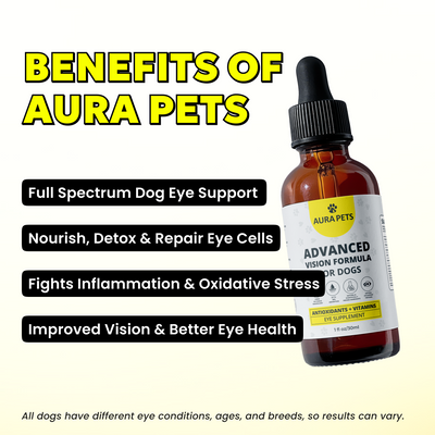 AuraPets  Nano Drops | No Chemicals. No Weird Taste. All Natural Liquid Supplement Recommended By Vets