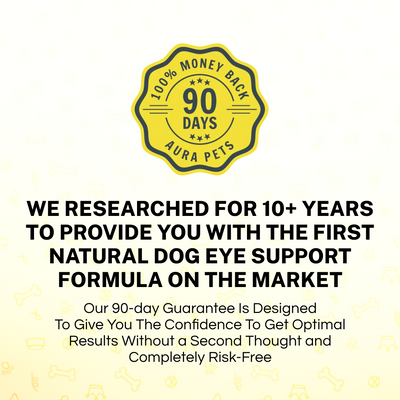 AuraPets  Nano Drops | No Chemicals. No Weird Taste. All Natural Liquid Supplement Recommended By Vets