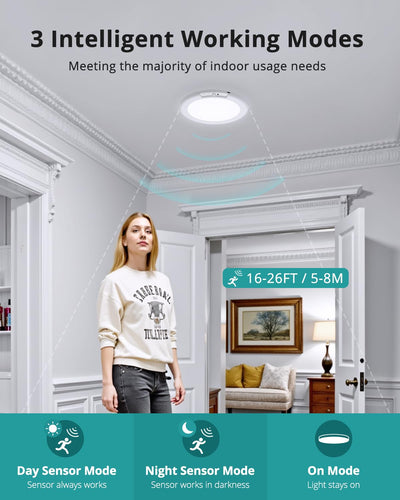 Motion Sensor Ceiling Light