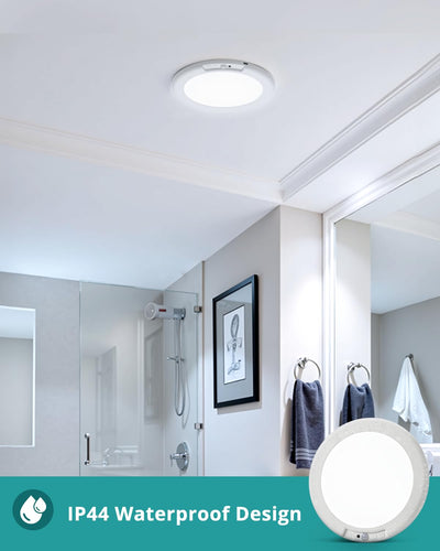 Motion Sensor Ceiling Light