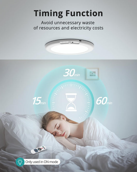 Motion Sensor Ceiling Light