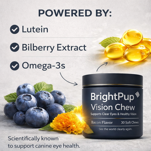 BrightPup Dog Vision Chews | No Chemicals. No Weird Taste. All Natural Supplement Recommended By Vets