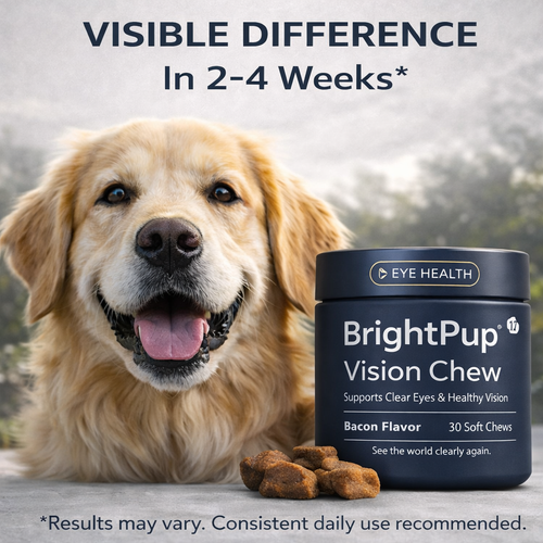 BrightPup Dog Vision Chews | No Chemicals. No Weird Taste. All Natural Supplement Recommended By Vets
